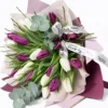Elegante Tulpen