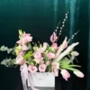 Blush Air Luxury