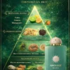 Amouage Odyssey Search Eau de Parfum
